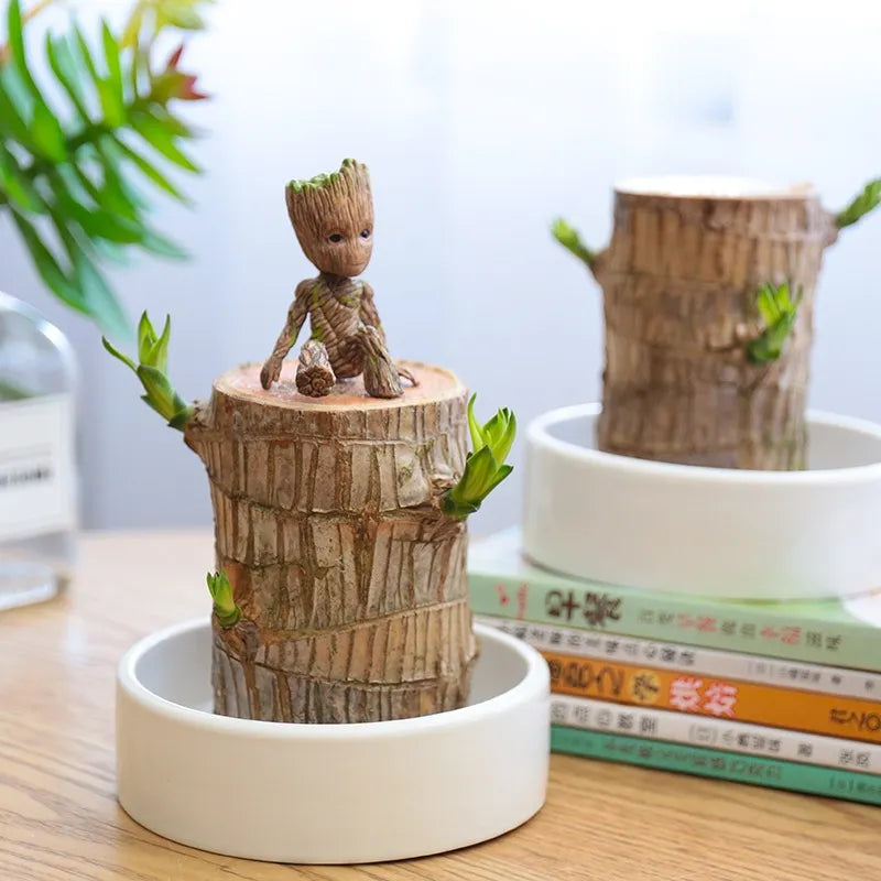 HarmonyWood | Apportez la paix dans votre maison avec cette belle plante