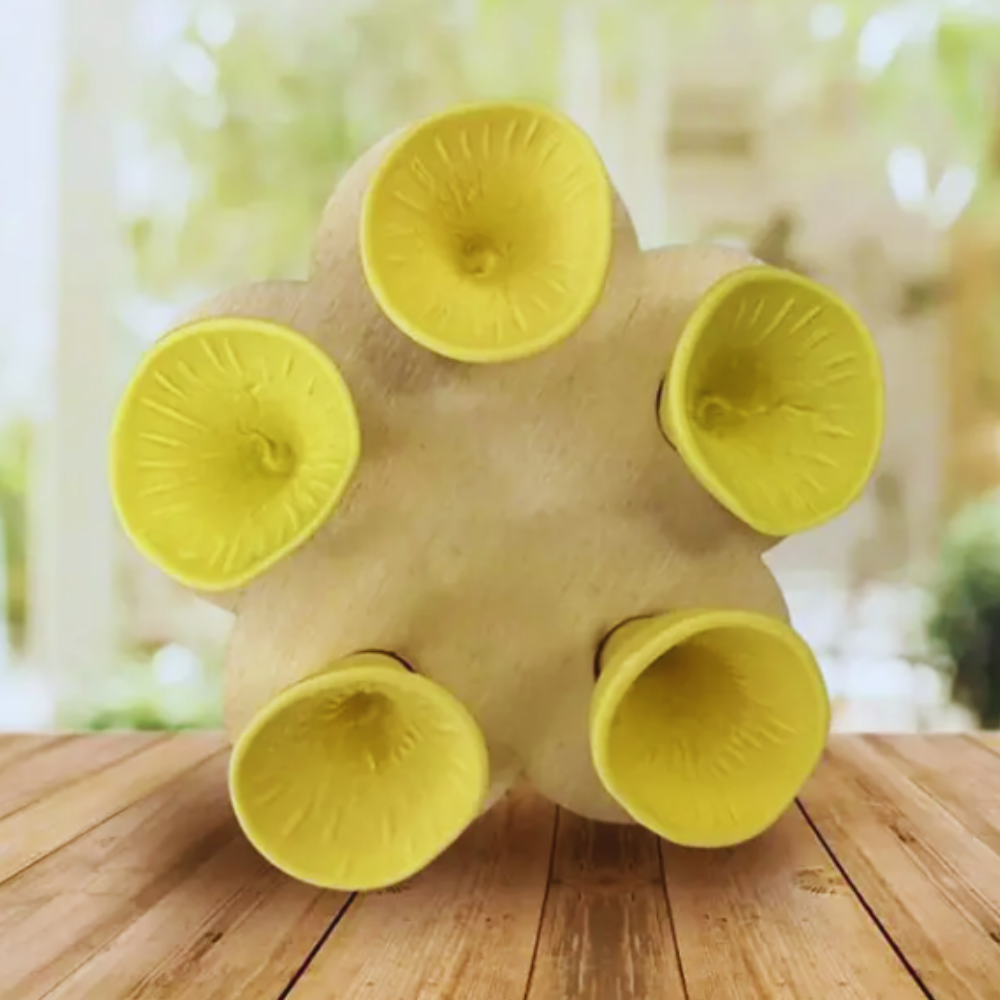 PollinatorCups | Chaque tasse d'eau devient une source de vie pour les abeilles et les papillons