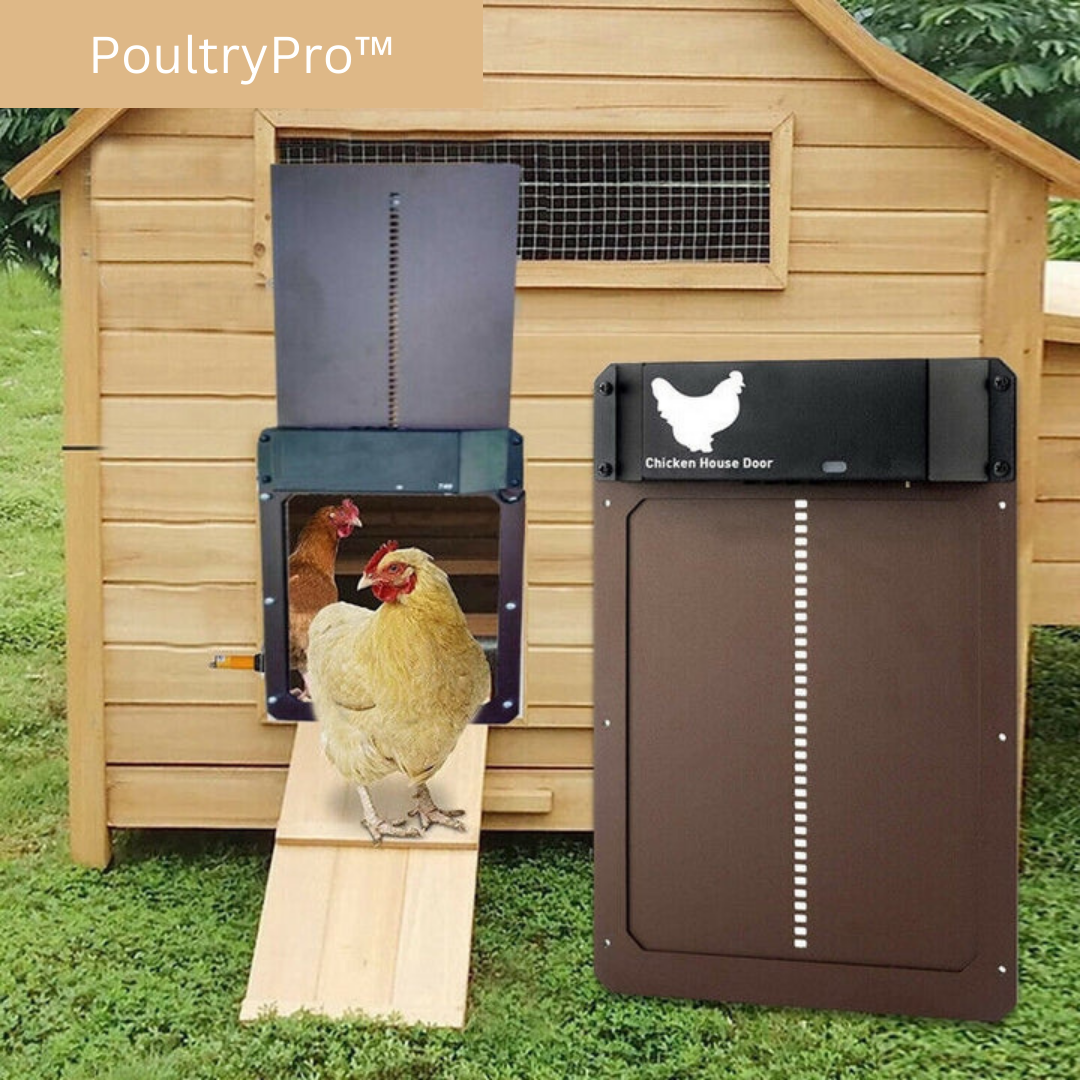 PoultryPro | Veillez à ce que vos poules soient logées en toute sécurité