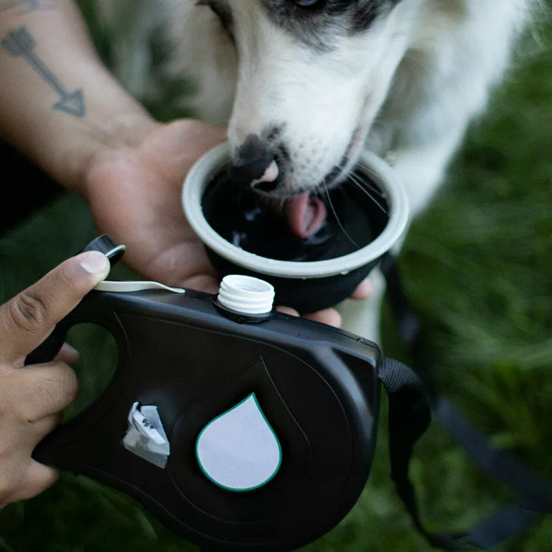 StrideSupreme | Prenez soin de votre chien en ayant toujours de l'eau avec vous.