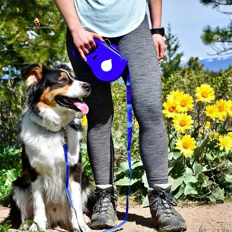 StrideSupreme | Prenez soin de votre chien en ayant toujours de l'eau avec vous.