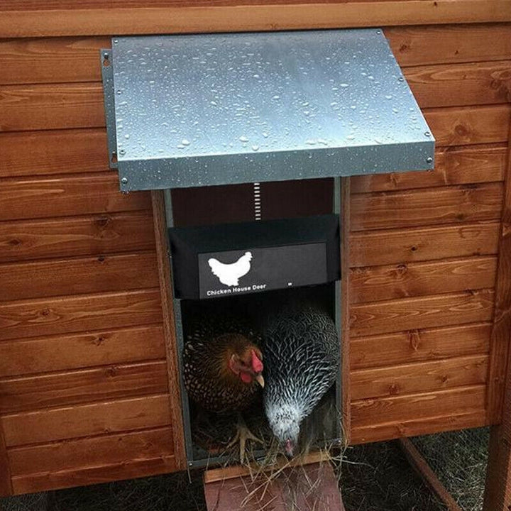 PoultryPro | Veillez à ce que vos poules soient logées en toute sécurité