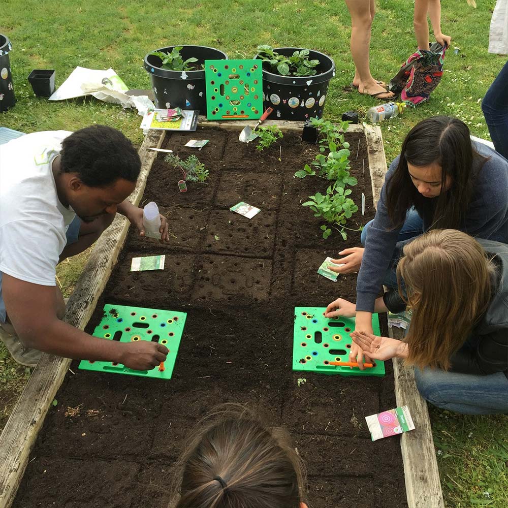 PlantPro | Un jardin organisé et un guide de plantation parfait