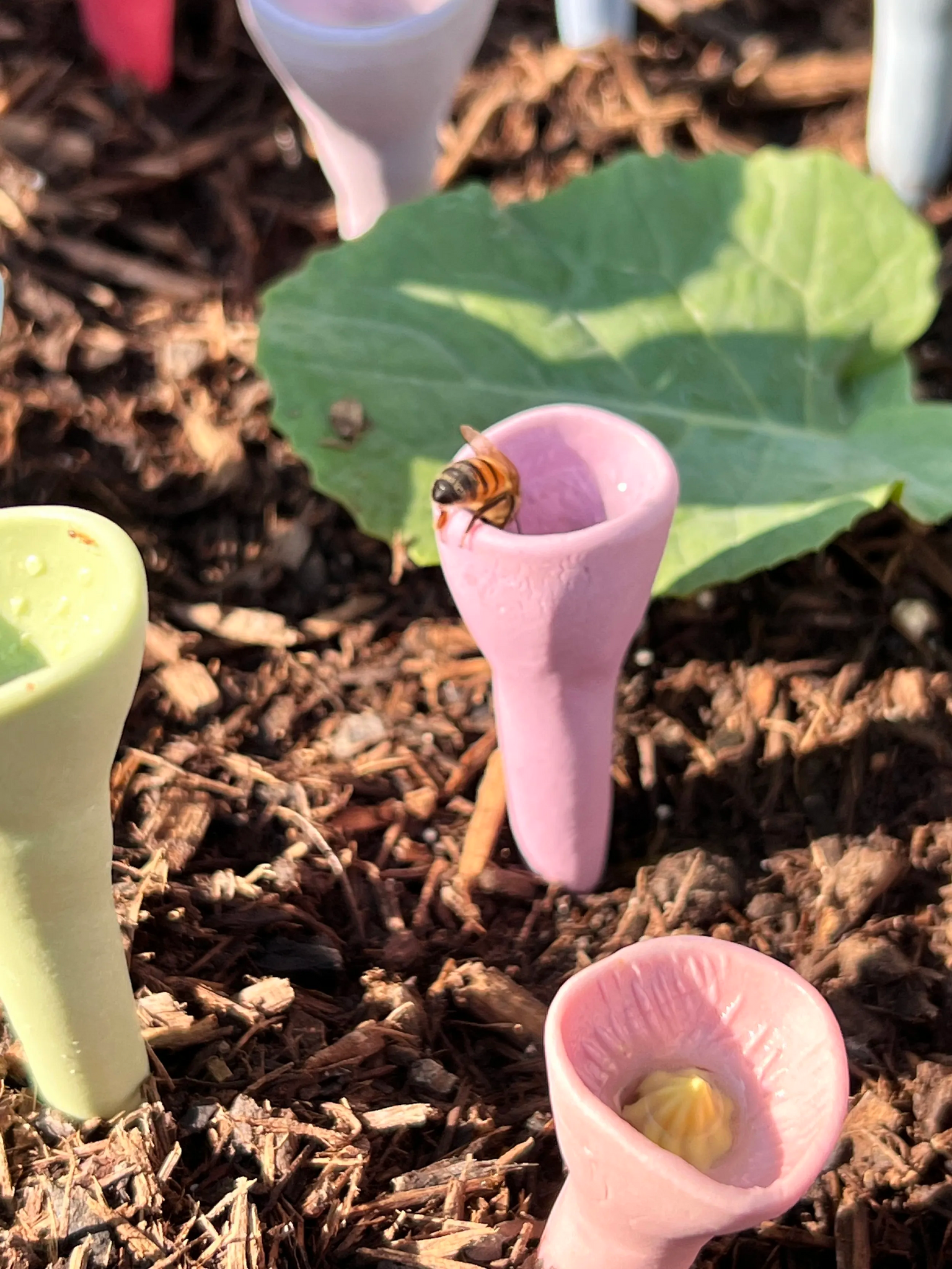 PollinatorCups | Chaque tasse d'eau devient une source de vie pour les abeilles et les papillons